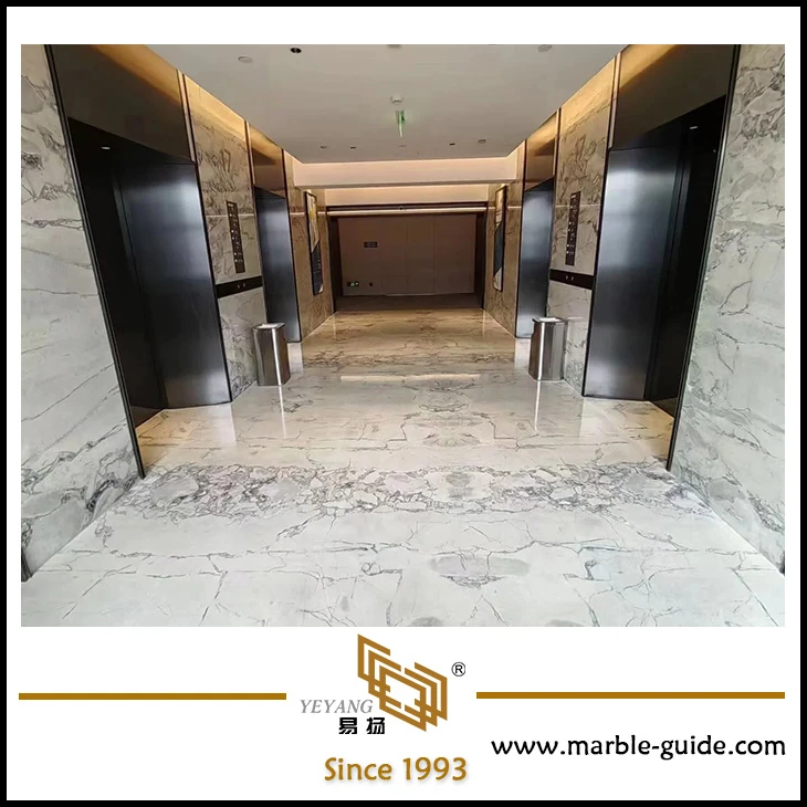 Burberry Grey Luxury Marble For Hotel Floor Wall Tiles