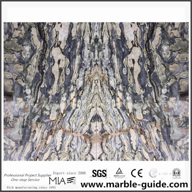 Charming Twilight Gorgio Marble Slab