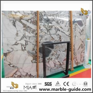Hvid Titanic Storm Marmor Slab Til Contertop
