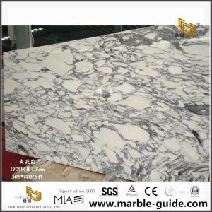 Smukke Arabescato marmor plader