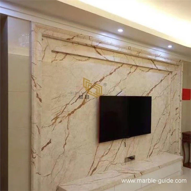 Sofitel Gold Marble Background Wall