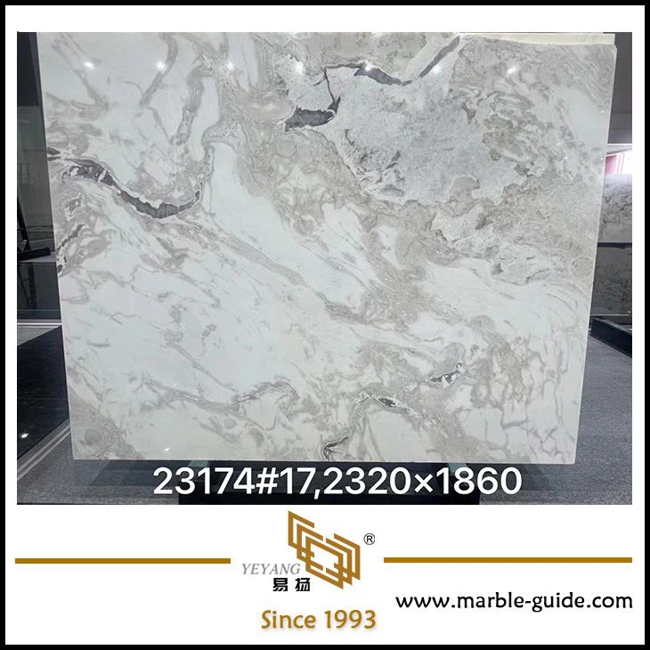 Italy Fendi White Luxury Marble Slab Luxury Stone 2320x1860mm
